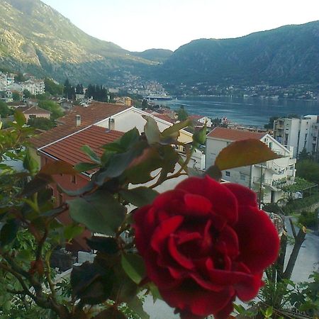 Apartment Aki Kotor Exterior foto