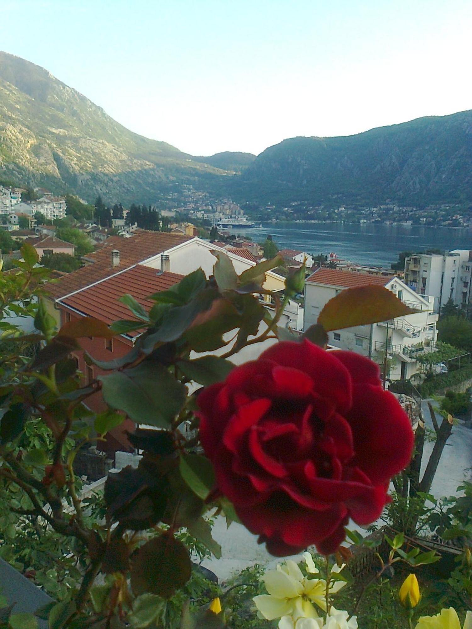 Apartment Aki Kotor Exterior foto